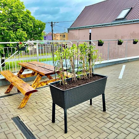 Penzion víno sklep U Palečků Zaječí Exterior foto